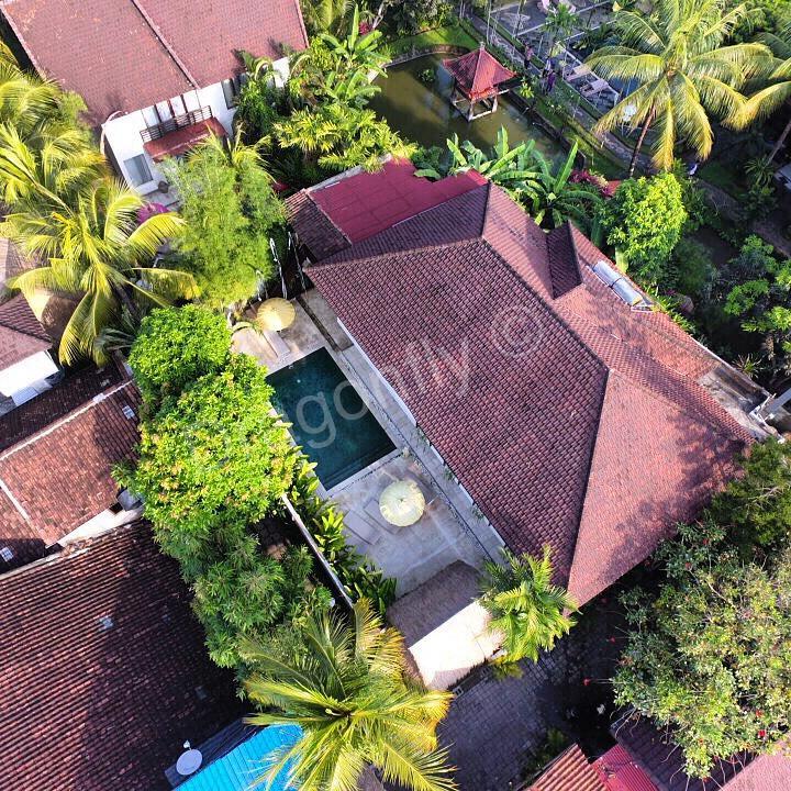 The Royal Palm Villa Ubud Eksteriør bilde